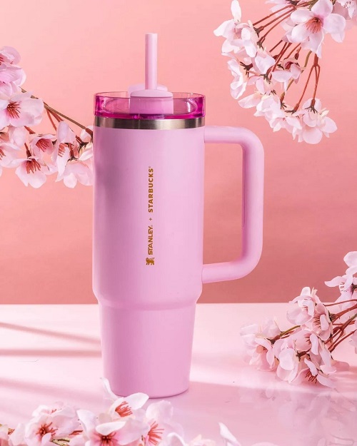 Amazon.com | STANLEY Quencher H2.0 FlowState Stainless Steel